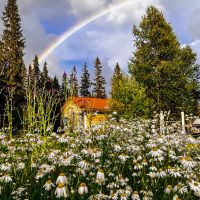 Nach dem Regen beschert uns die Sonne einen Regenbogen